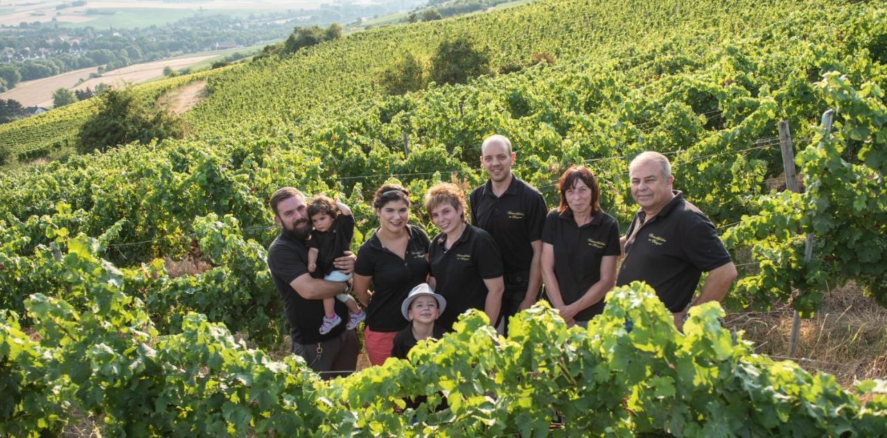 Weinschloesschen Im Weingut Roos Hotel Ilbesheim Buitenkant foto